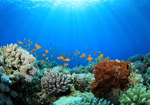 Contributor Tracerco gives an insight to what's under our seas and oceans